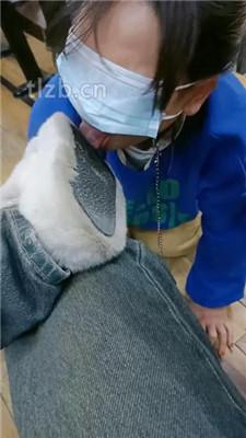 【爱可呀】母畜-遛狗爬行/舔毛拖鞋/舔素人长靴/闻棉袜