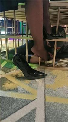 【咩祖】把狗圈养在茶几底下