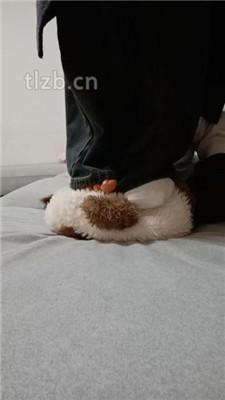 【爱可呀】母畜-清理脏鞋/闻棉袜/对鞋磕头/袜子塞嘴