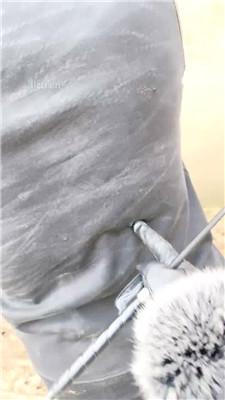 【沅芷大人】吊绑树上鞭子狂抽