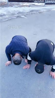 【沐夏夜】户外景区溜双狗