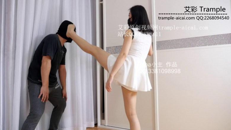 小主高抬腿杀狗