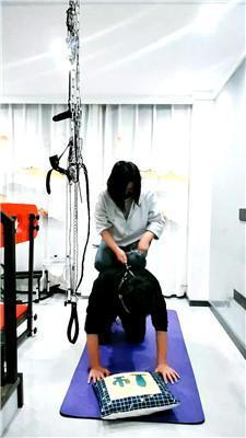 【芏筄】狗链遛狗-骑马踩踏踢踹 JS250321-21