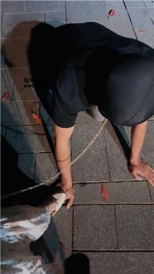 【苏苏不苏】户外-骑马狗爬犬化 bf52451