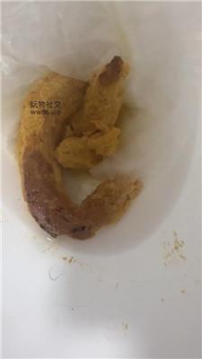 【酒鸽】黄金灯    250201-5