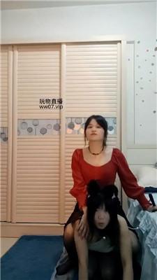 【熊宝】狗链遛狗女神犬 bf50778