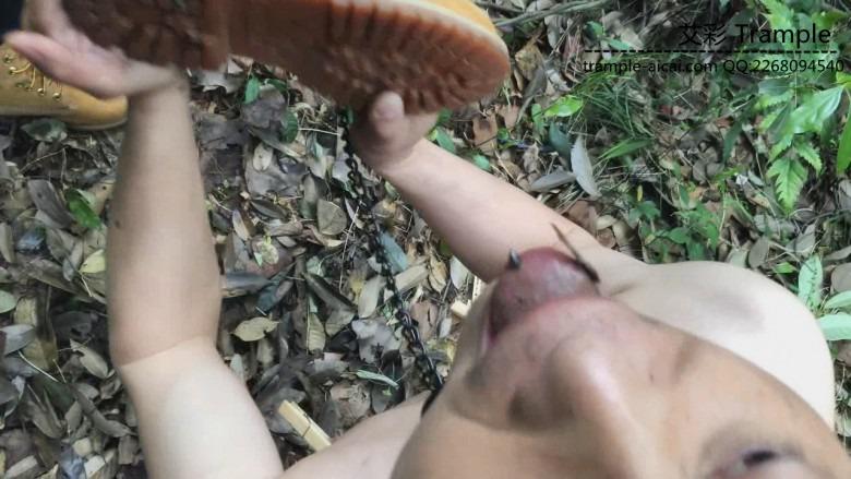 《湘香女王》野外负荆请罪的狗