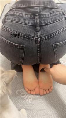 【训犬师】你们的女神我滴狗 JS250421-8