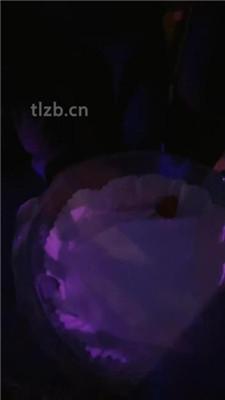 【语阳】狗笼圈养驯化前任