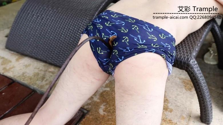 〖H.P.L栖心之栈〗—三亚小树林·树枝抽打、剃毛