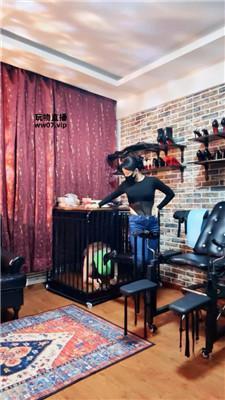 【冷颜】狗笼囚禁绿帽奴 JS250318-10