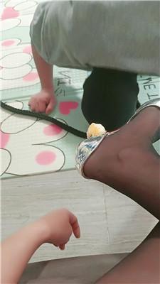 【卡罗琳】黑丝高跟诱惑-犬化家奴【下】 JS250331-46