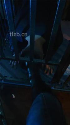 【语阳】狗笼圈养驯化前任