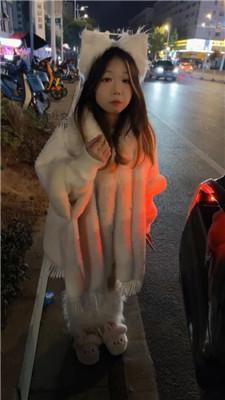 【狗哥】开发可爱小公举车内调 JS250304-36