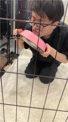 【佳禾】圈养狗笼-狗盆喂食-赏赐洗澡水 JS250325-37