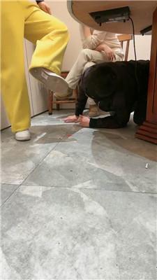 【乔伊】双S-餐桌下脏鞋蹂躏踩虐 JS250207-12