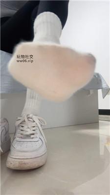 【酒鸽】灯    250121-6