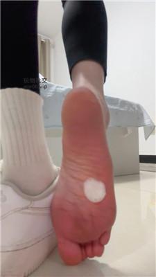 【酒鸽】灯    250121-6