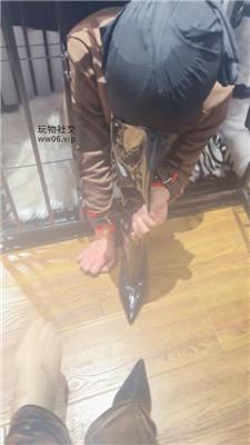 【倪小主】超酷皮衣皮靴女神踩虐 bf50509