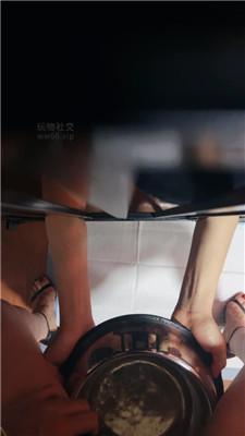 【冷颜】御姐S驯化家奴 JS250207-7