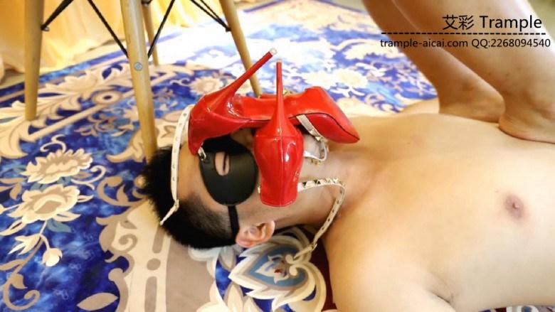 〖H.P.L栖心之栈〗—夏芙调教二合一