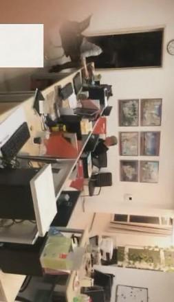 【VIVI】午夜办公室调教