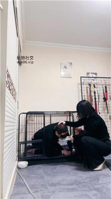 【可馨】狗笼圈养外卖小哥-藤条鞭打 JS250116-28