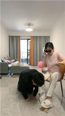 【薇薇】物化家具奴-伺候主子用餐 JS250322-5