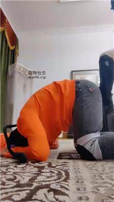 【魔鬼天使】女教练骑人形犬驯化 JS250116-38