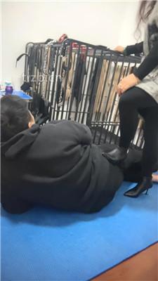 【冰色】全体重踩踏专场