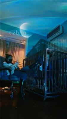 【语阳】狗笼圈养驯化前任