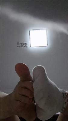 【蛮蛮呀】买！棉袜裸足调贱狗    250209-8