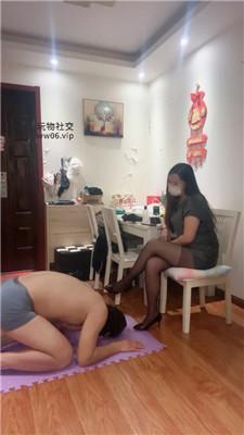 【水凝】下跪伺候-御姐黑丝高跟虐 JS250204-19