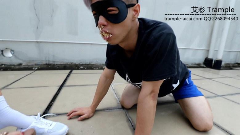 〖H.P.L栖心之栈〗—贱狗脏舌该舔什么？