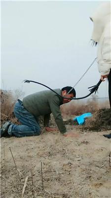 【沐颜】户外鞭打跟踪狂/体验活埋【双视角版】JS250111-25