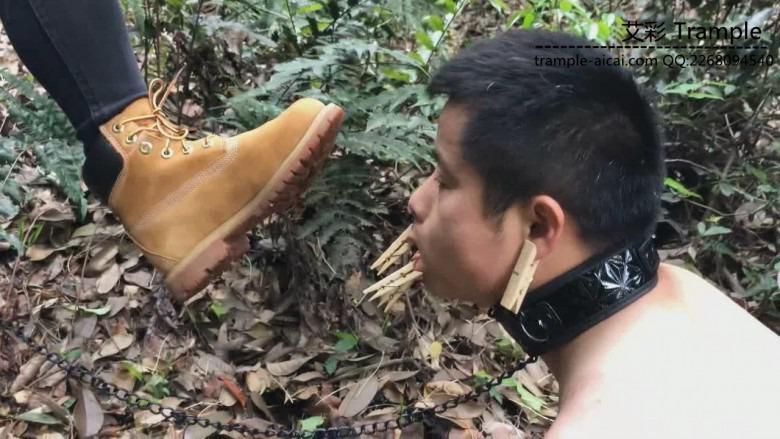 《湘香女王》野外负荆请罪的狗