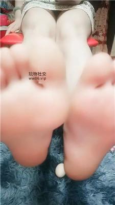 【诺主】玩坏你的蛋    250216-15