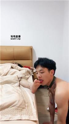 【南月女神】家奴卑微伺候起床 bf51580