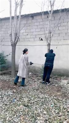 【沅芷大人】吊绑树上鞭子狂抽