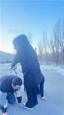 【沐夏夜】户外景区溜双狗