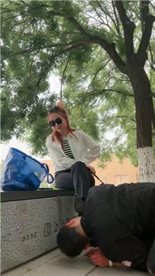 【语阳】白领S户外遛狗 JS250506-28