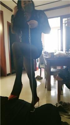 【冷艳】物化人体擦鞋器 JS250507-18