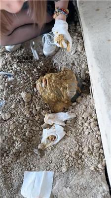 【Mico兔】户外工地活埋废物 JS250413-8