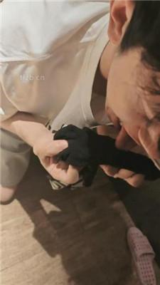 【yukis】户外足浴店调狗【完整版】