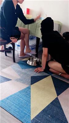 【白狐】狗盆喂食专场 JS250503-6