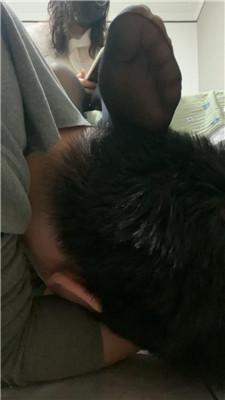 【九朝】近距离黑丝碾压踩 JS250220-23