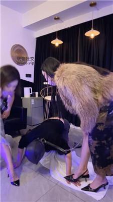 【浅浅】双S-高贵御姐的脚下狗【双视角版】 bf50524