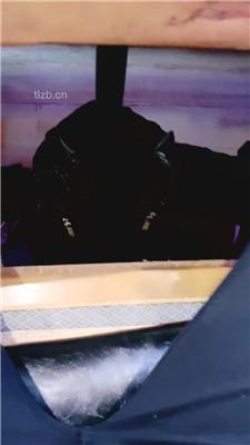 【芷镜】养生馆公开处刑踩狗【完整版】