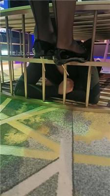 【咩祖】把狗圈养在茶几底下