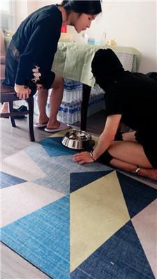 【白狐】狗盆喂食专场 JS250503-6